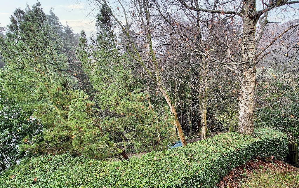 Additional image 31 of The Dene, Hurst Green, BB7 9QF