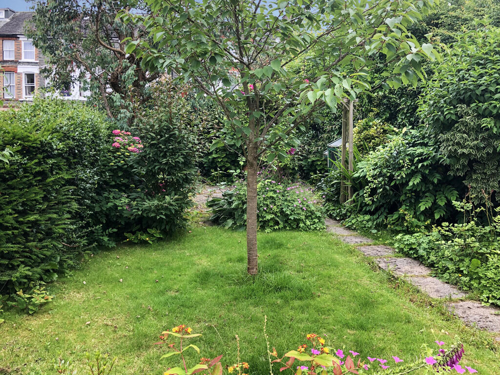 Additional image 27 of Oak Leaf House, Ambleside Road, Keswick, Cumbria, CA12 4DL