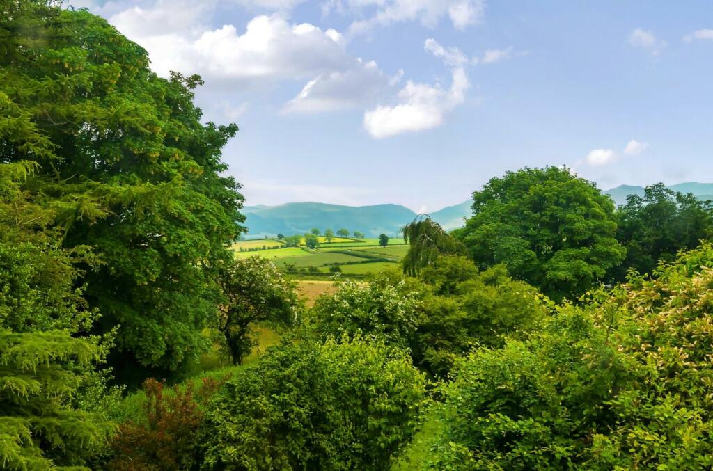 Additional image 43 of Cockermouth