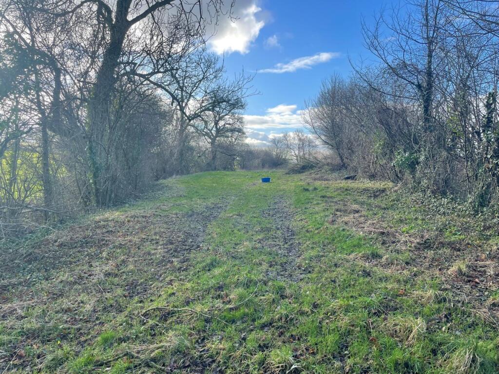 Additional image 4 of Lot B - Ashton, Wedmore, BS28