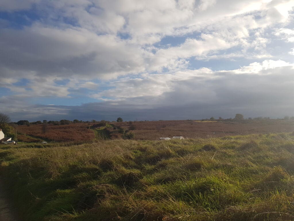 Additional image 15 of Felton Common, Felton