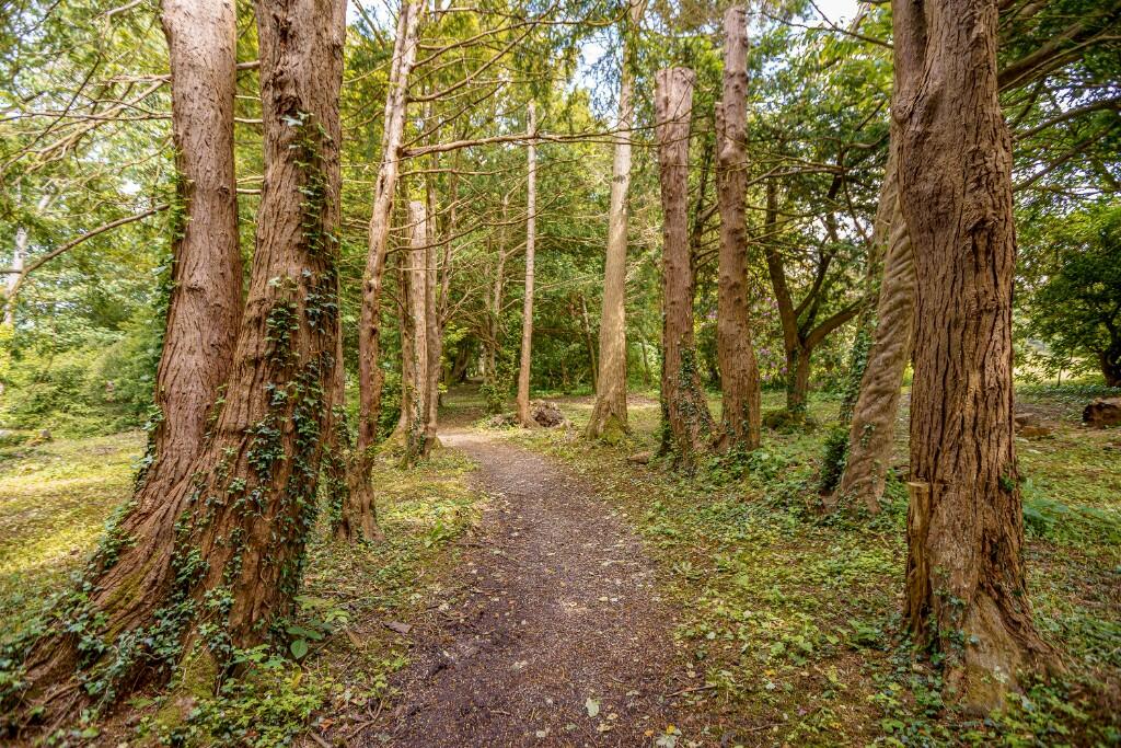 Additional image 69 of Tallentire Hall, Tallentire, CA13