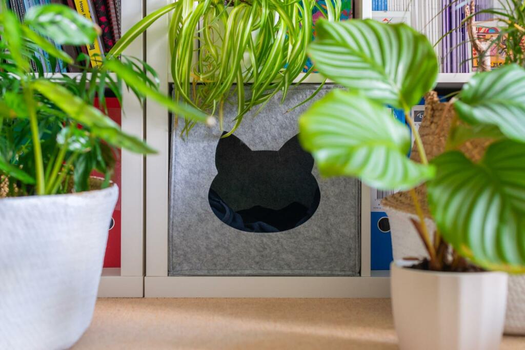 Additional image 9 of Squires Court, Bedminster