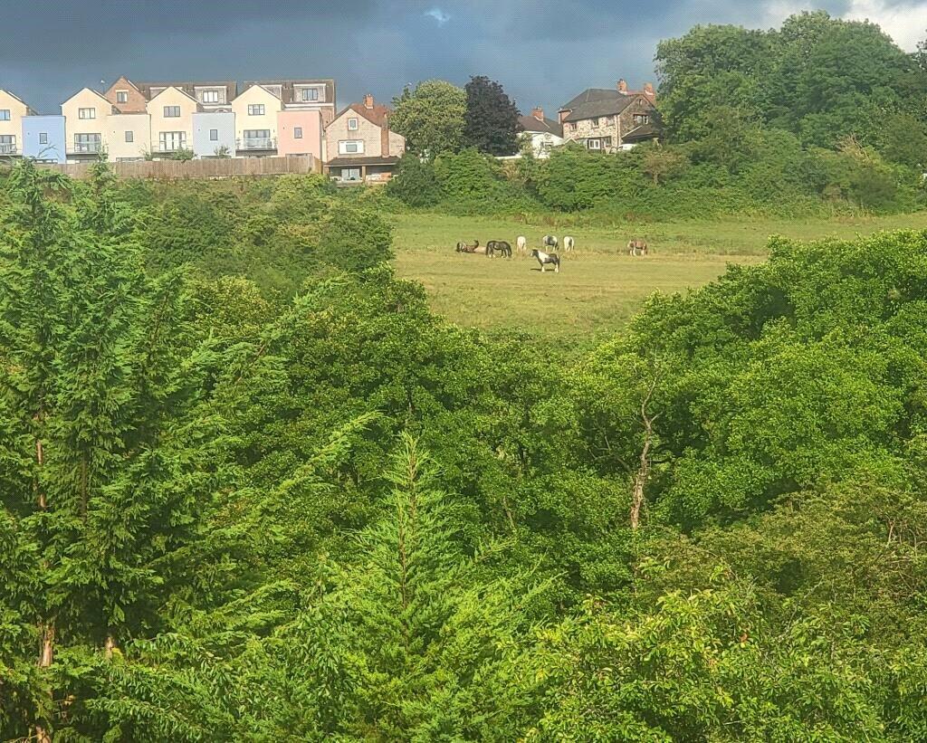 Additional image 25 of Headley Lane, Headley Park, BS13