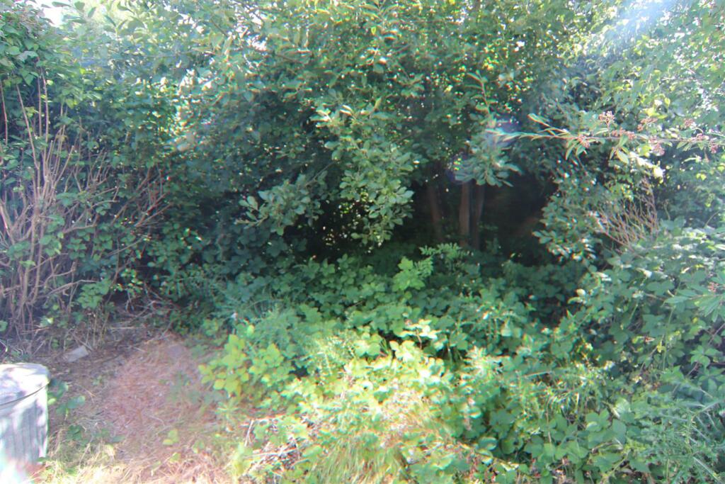 Additional image 15 of Hayes Wood Avenue, Hayes