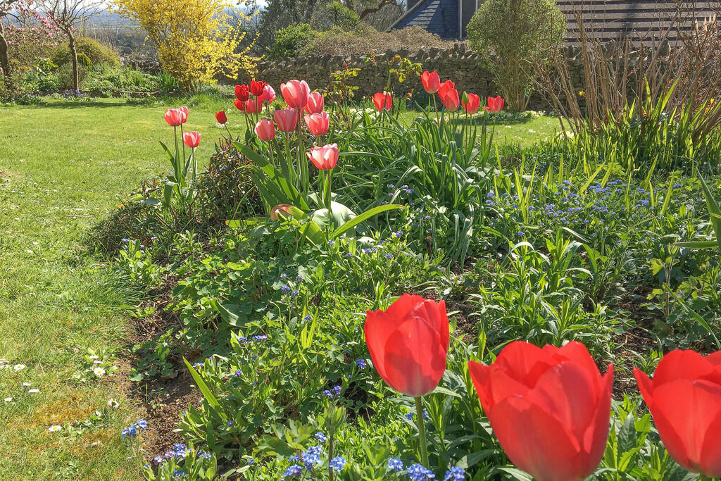 Additional image 23 of Hillside Road, Bleadon