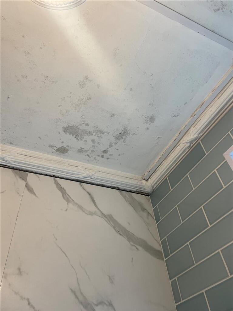 Additional image 20 of Dongola Avenue