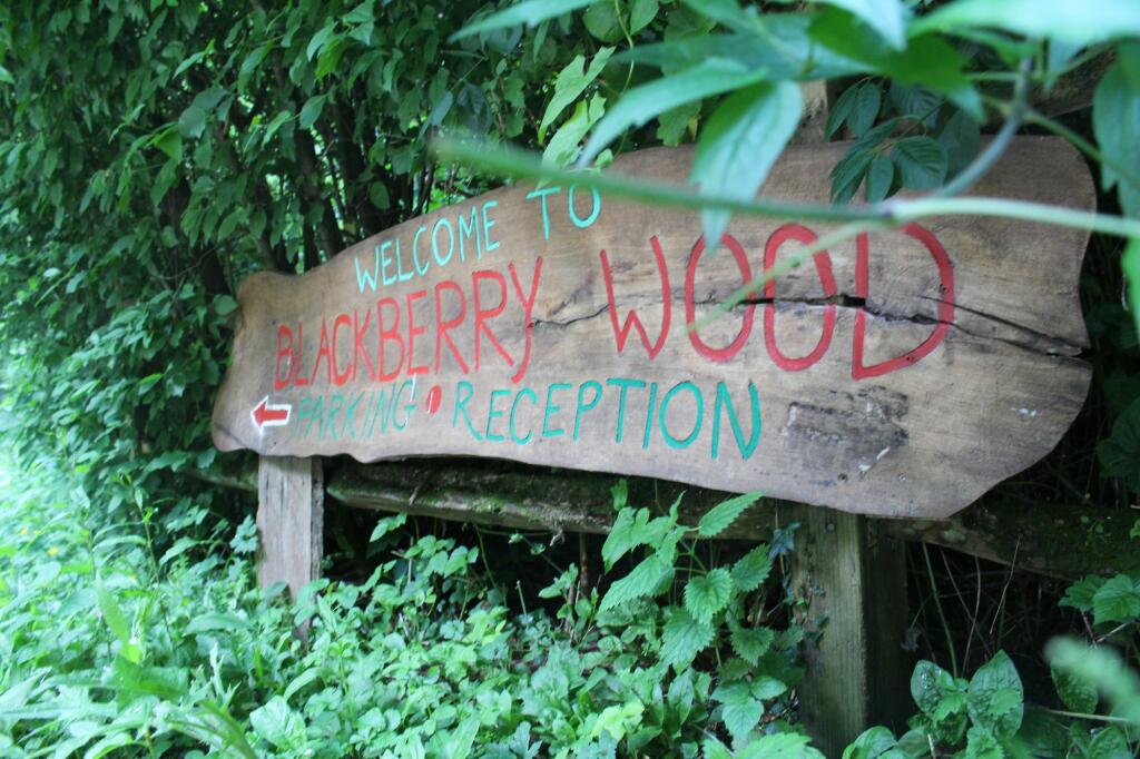 Additional image 48 of Streat Lane, Streat, BN6