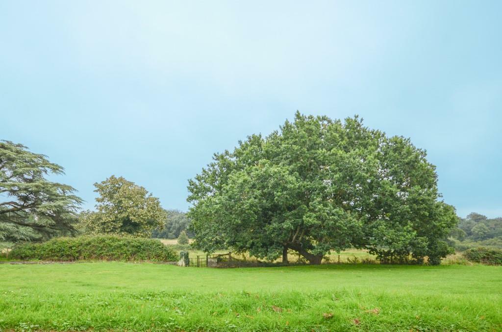 Additional image 9 of Clarendon House, Beckspool Road, Frenchay, Bristol, BS16 1ND