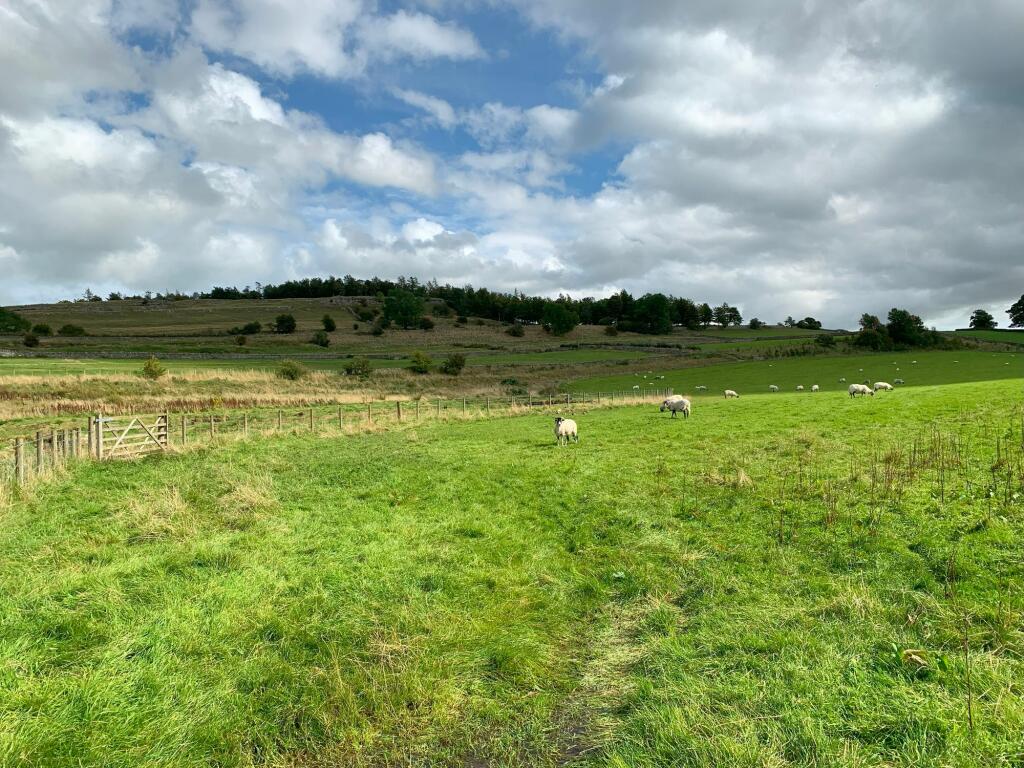 Additional image 6 of Lot 1 Scarside Farm, Bampton