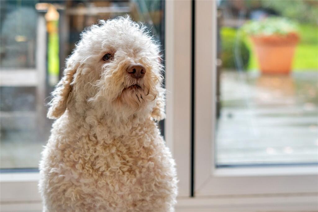 Additional image 29 of Southwater Close, Beckenham Place Park, Beckenham