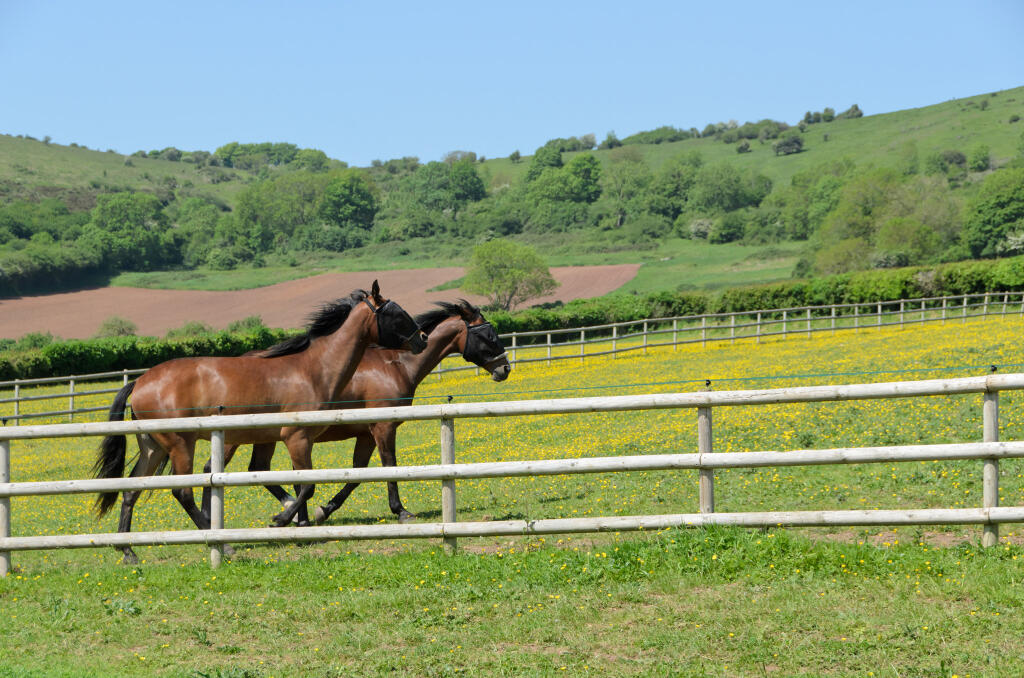 Additional image 27 of Axbridge SOMERSET