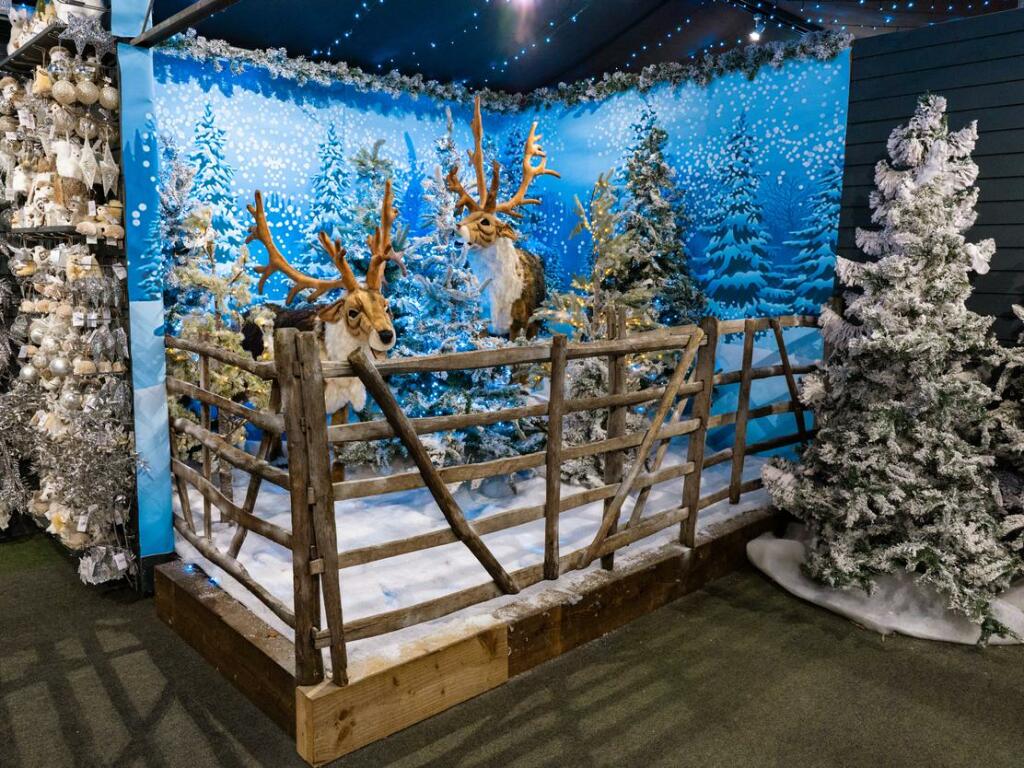 Additional image 28 of Whitehall Garden Centre, Norton Lane, Bristol, Somerset, BS14 0BT