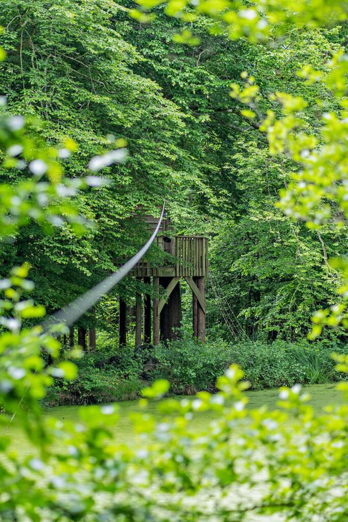 Additional image 39 of Chiddingly, Lewes, East Sussex