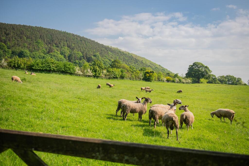 Additional image 28 of Watermillock, Penrith, CA11