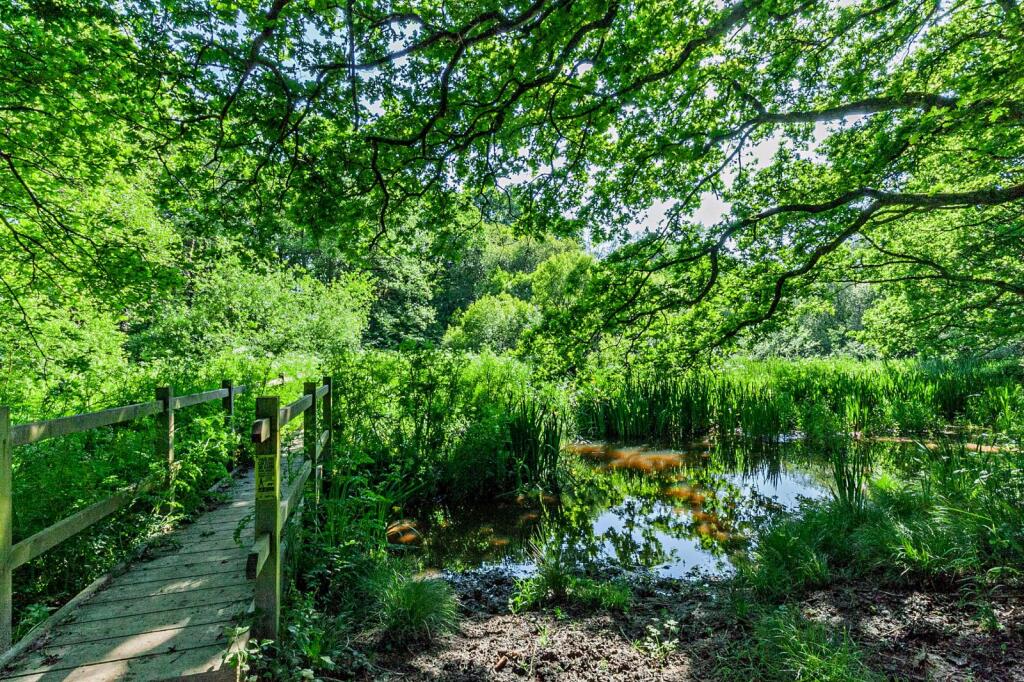 Additional image 31 of Chiddingly, Lewes, East Sussex