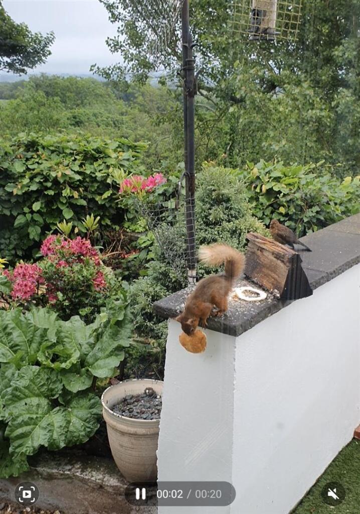 Additional image 23 of Camerton, Workington