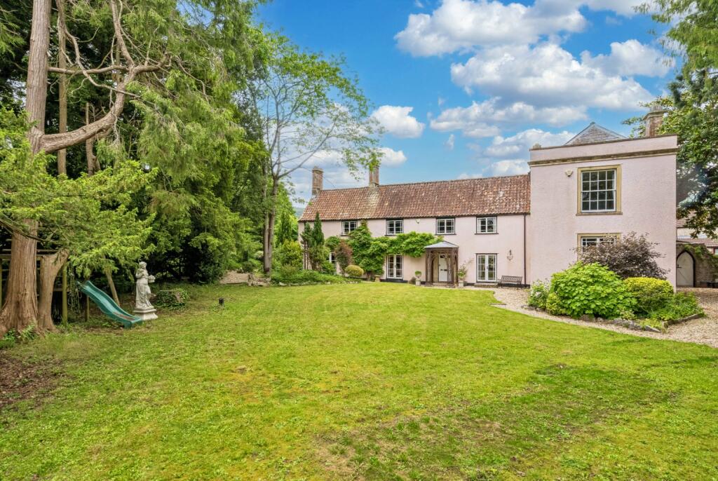 Additional image 22 of CHEDDAR