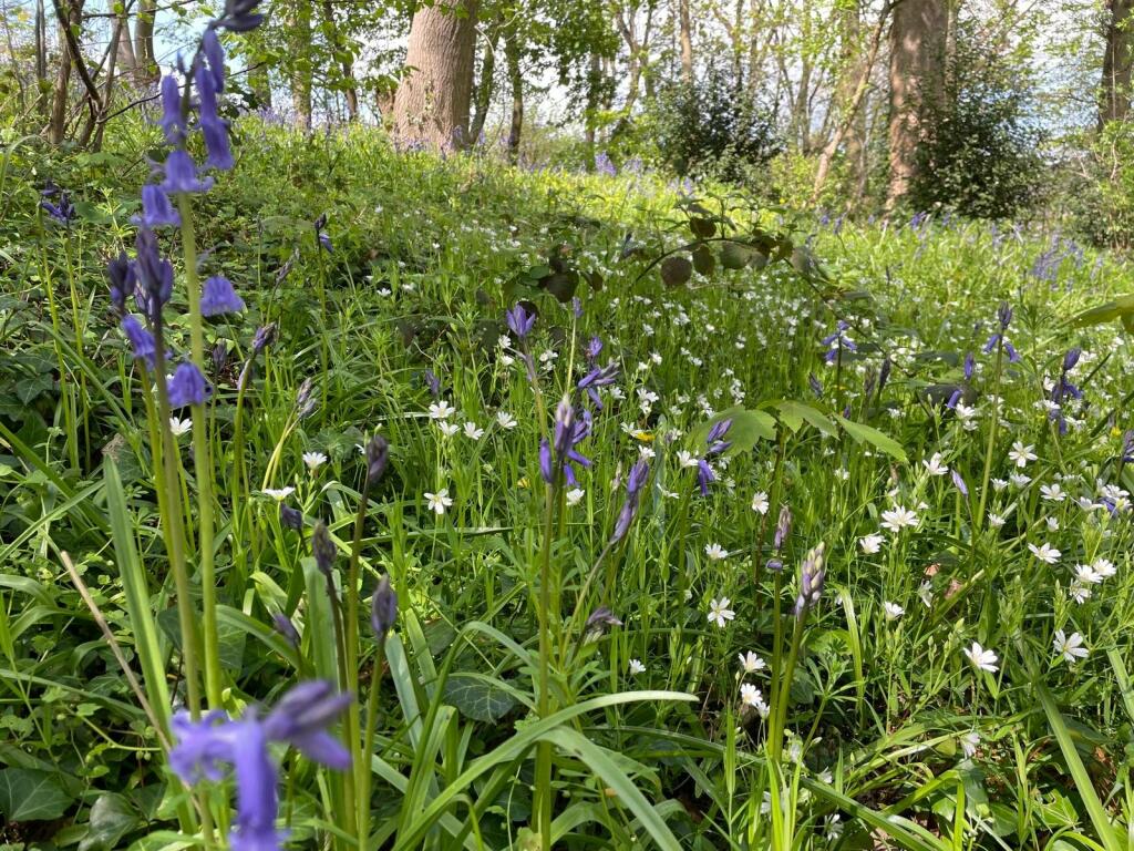 Additional image 43 of Oakley, Station Approach, Pensford, Bristol, BS39 4AE