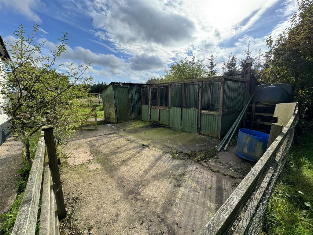 Additional image 13 of Shap