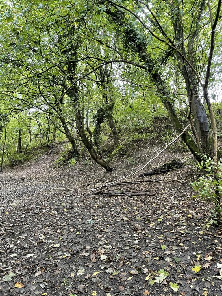 Additional image 6 of Garley Gill Woodland, Dearham, Maryport, Cumbria, CA15