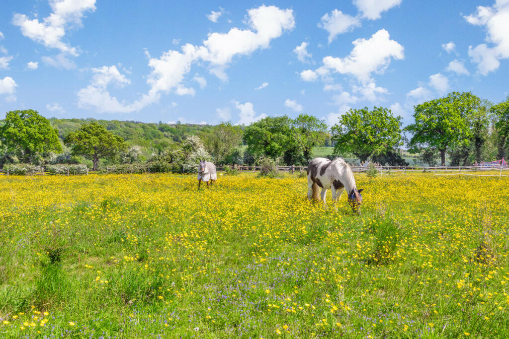 Additional image 15 of Nash Lane, Keston, BR2