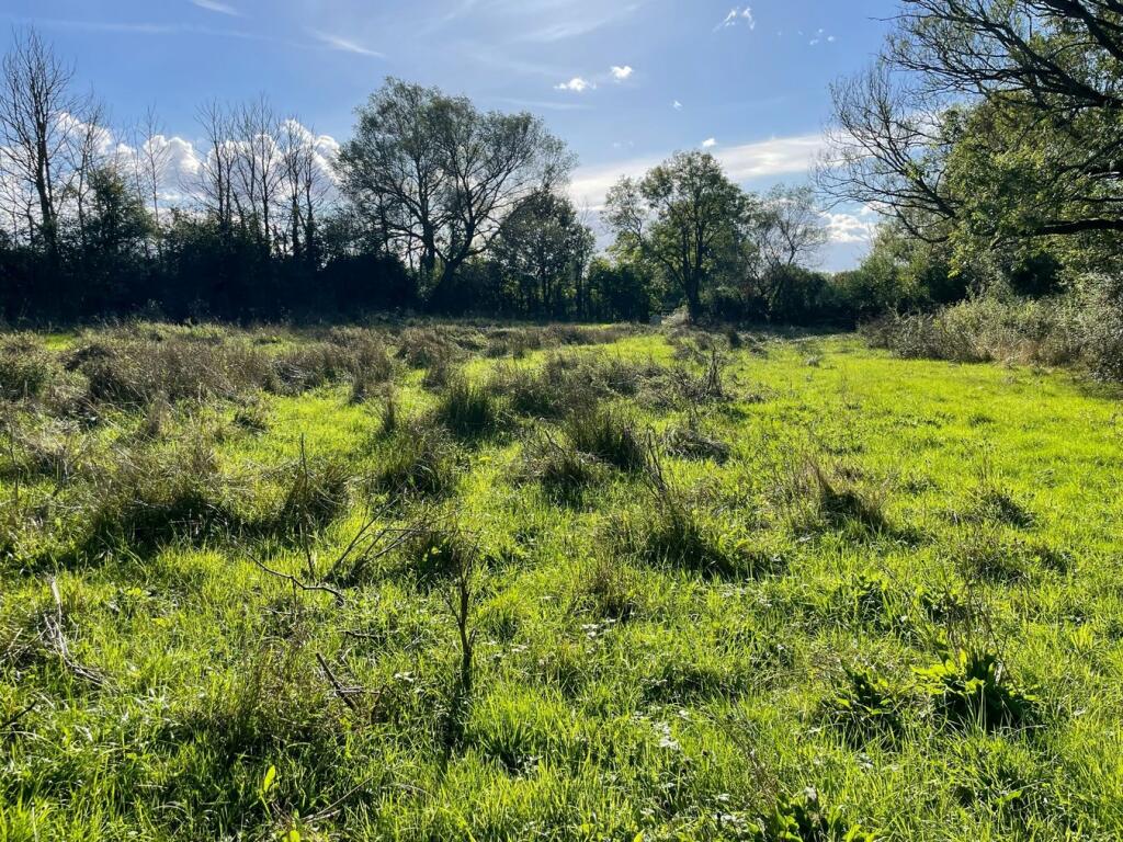 Additional image 9 of Lascott Hill, Wedmore, BS28