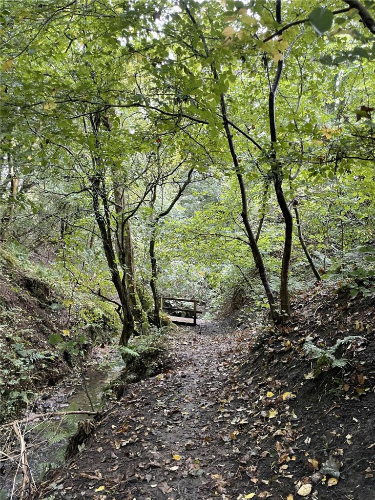 Additional image 5 of Garley Gill Woodland, Dearham, Maryport, Cumbria, CA15