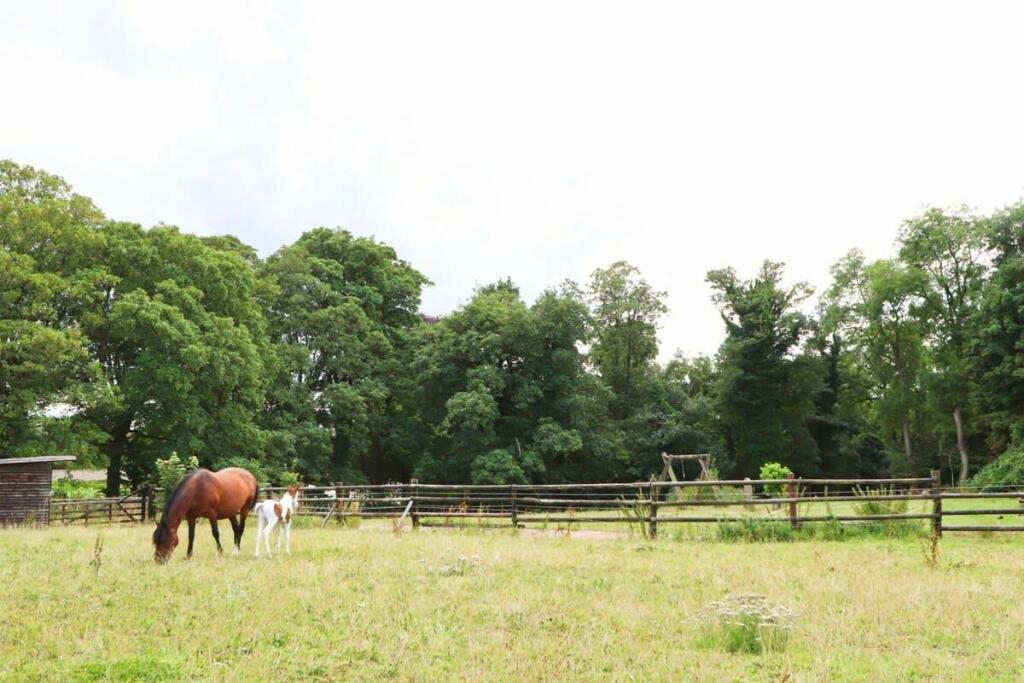 Additional image 17 of Foxhole, Foxholes Lane, Tockington, Bristol