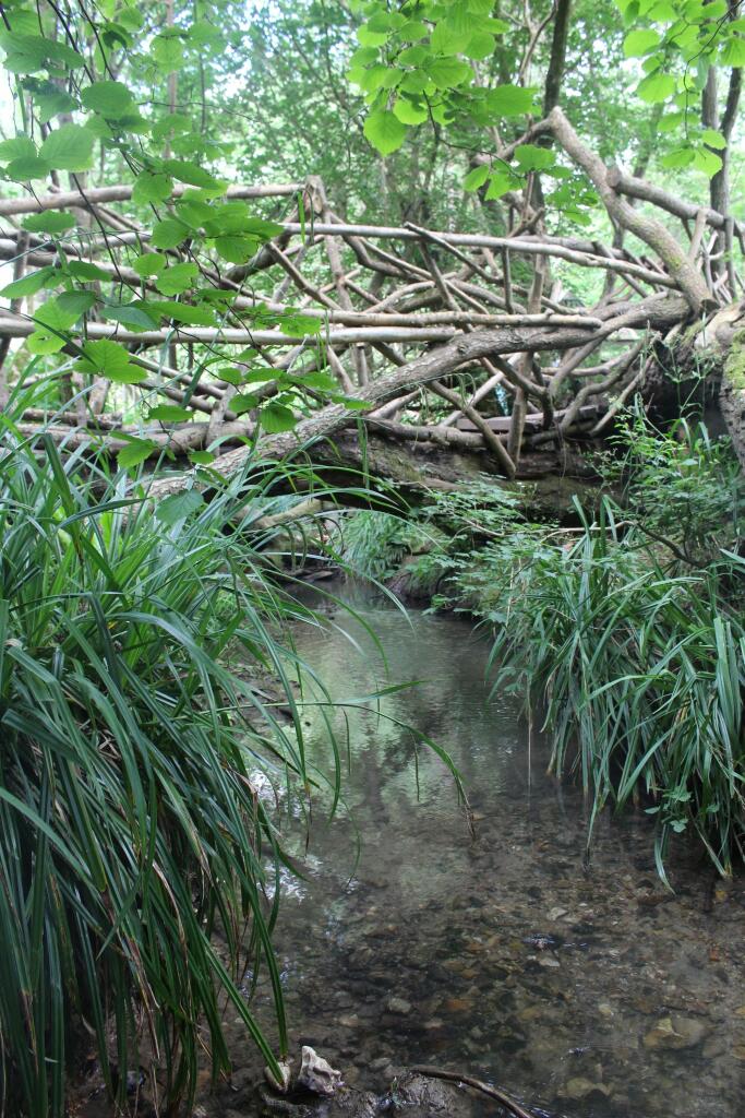 Additional image 35 of Streat Lane, Streat, BN6