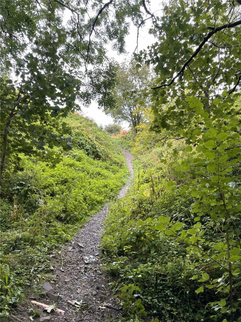 Additional image 9 of Garley Gill Woodland, Dearham, Maryport, Cumbria, CA15