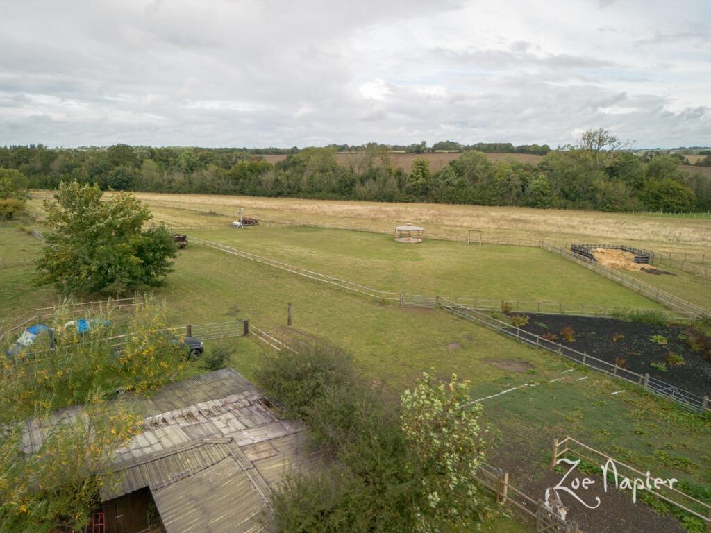 Additional image 32 of Sturmer