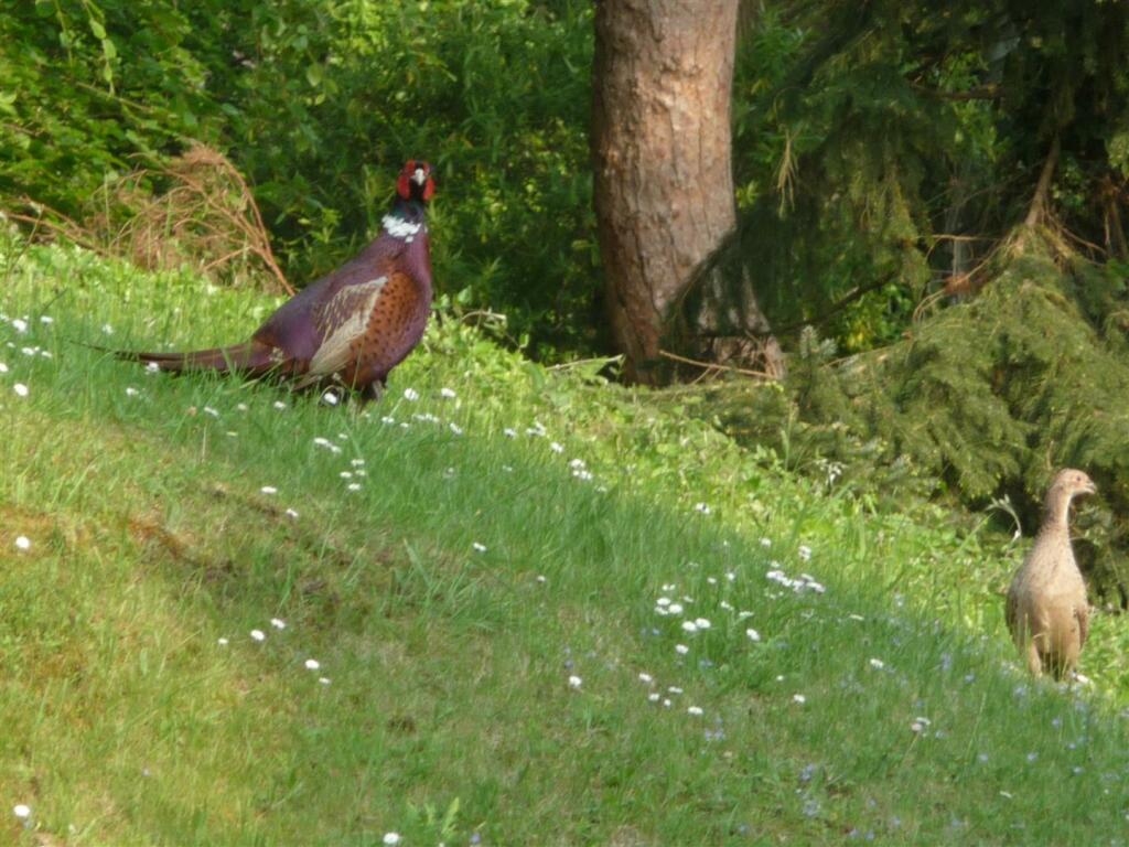 Additional image 10 of Nore Road, Portishead.