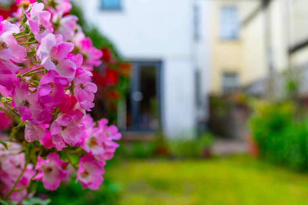Additional image 19 of Seymour Street, Splott