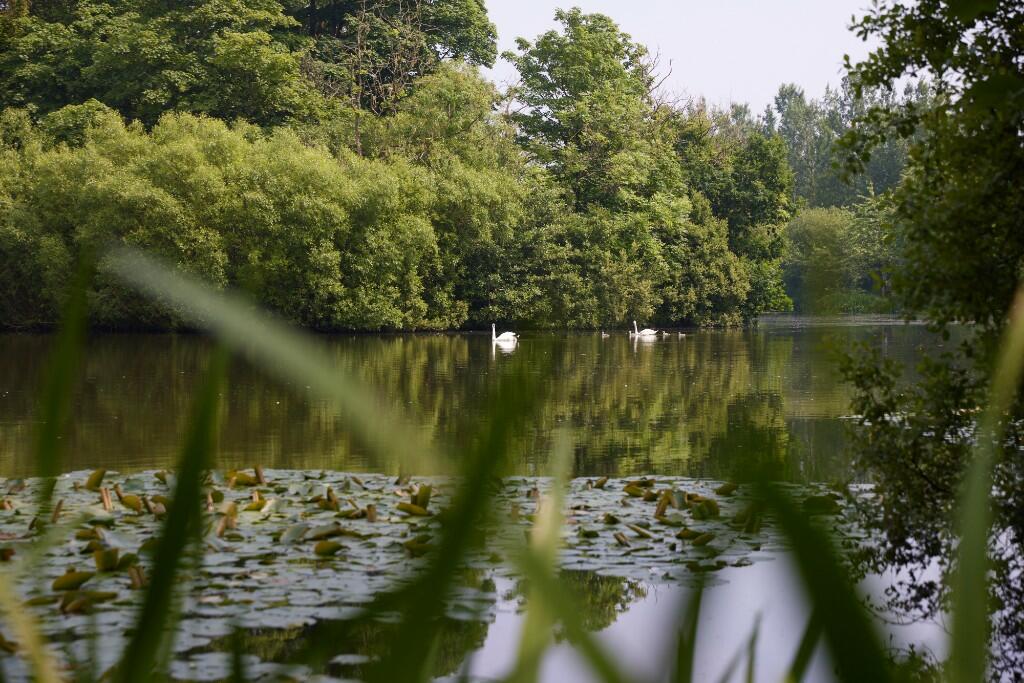 Additional image 35 of Manor Farm,
Crofton,
Thursby,
Carlisle,
CA5 6QB