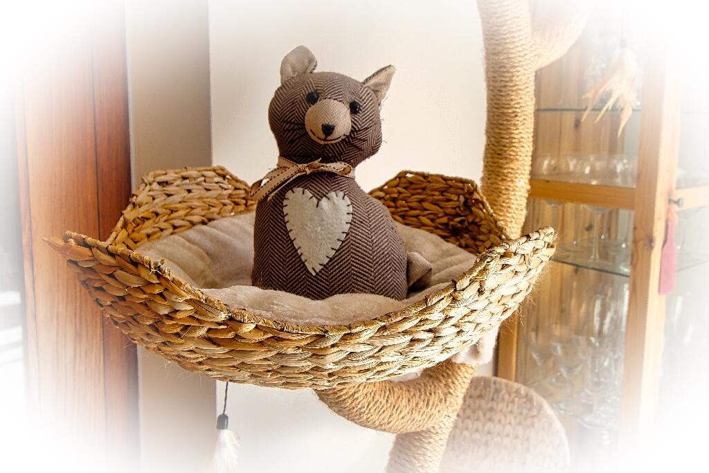 Additional image 30 of Pen Y Waun, Pentyrch, Cardiff, CF15