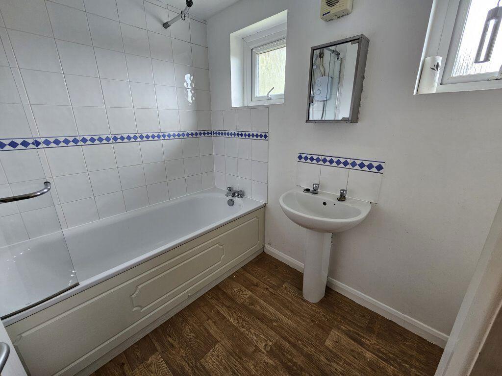 Additional image 10 of Cheviots