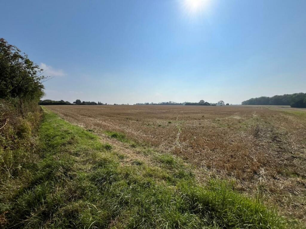 Additional image 11 of Westley Waterless, Newmarket