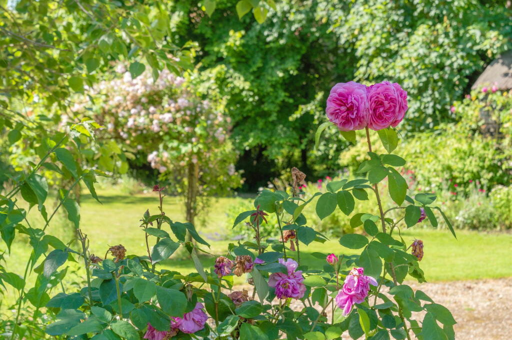 Additional image 52 of Homelands, Fordham, Ely, SAT NAV CB7 5NG