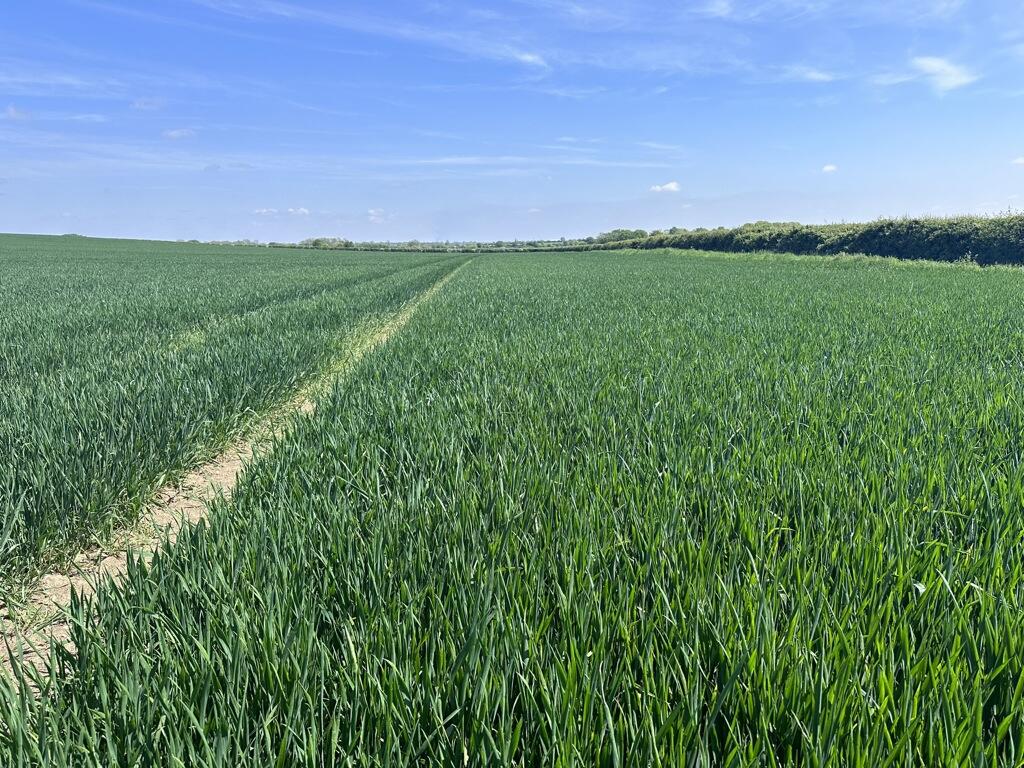 Additional image 10 of Arable Land At Coveney, Short Causeway, Witcham, Cambridgeshire, CB6 2DG