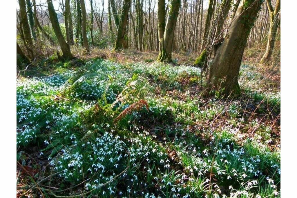 Additional image 28 of Holmrook Hall, Holmrook, CA19