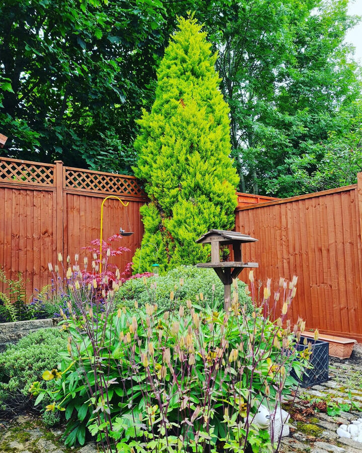 Additional image 17 of Hoyle Court Avenue, Baildon, BD17