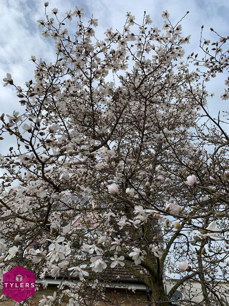 Additional image 24 of Sun Street, Isleham, Ely, CB7