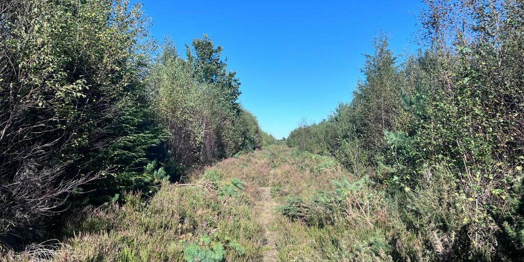 Additional image 9 of Sowerby Wood, Carlisle, Cumbria, CA5