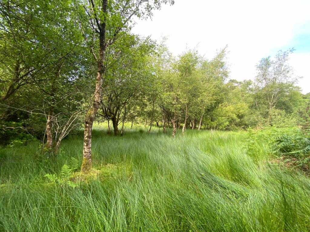 Additional image 5 of Santon Bridge, Holmrook, Cumbria