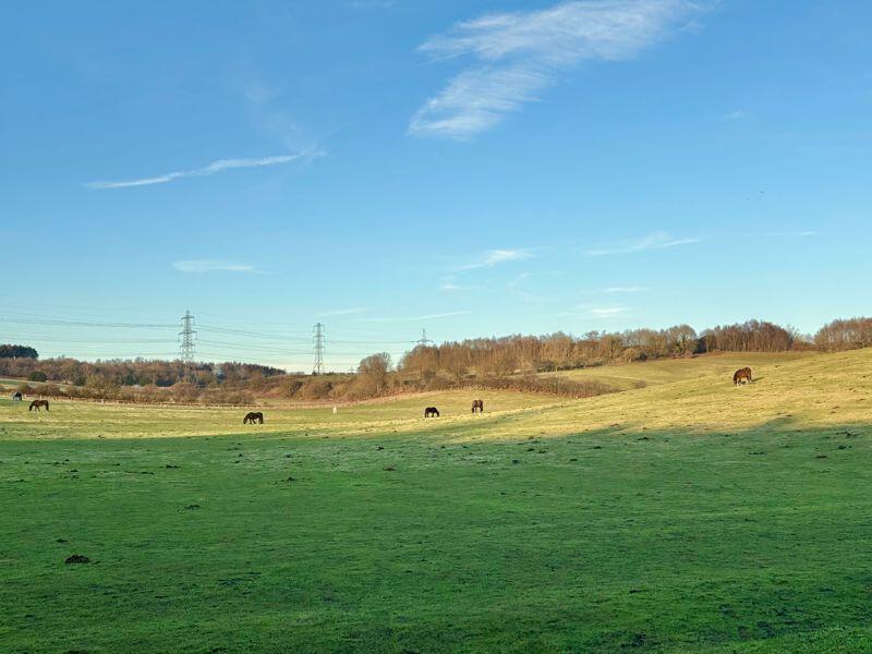 Additional image 10 of Wimperis Way, Great Barr, Birmingham B43 7DD