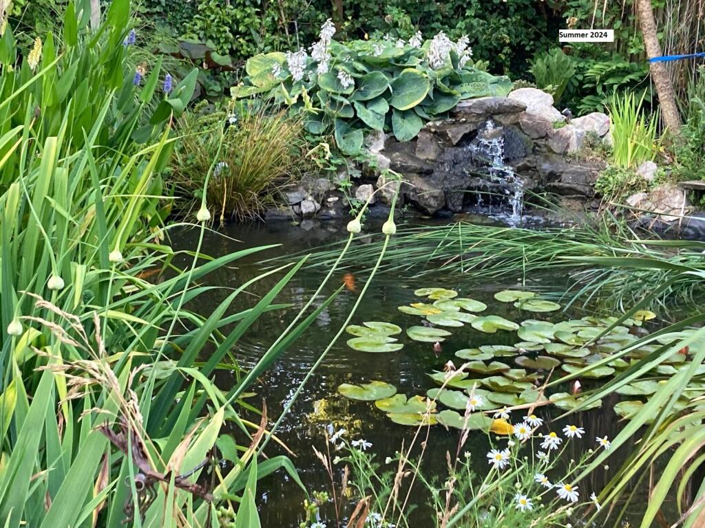 Additional image 22 of Millfield, Littleport, Ely, Cambridgeshire