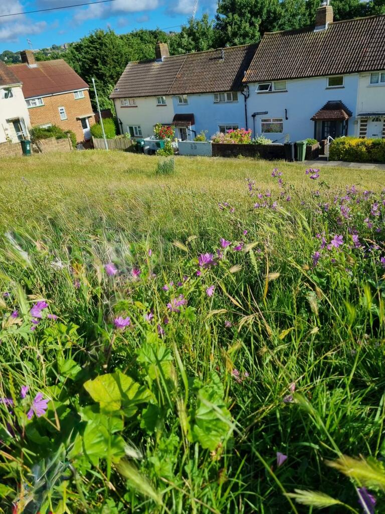 Additional image 26 of Davey Drive, Brighton, BN1