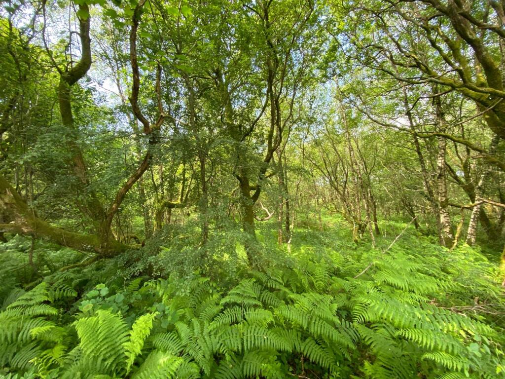Additional image 2 of Santon Bridge, Holmrook, Cumbria