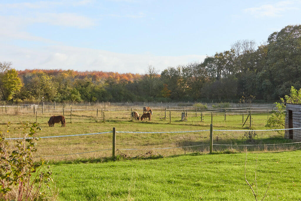 Additional image 6 of Abington, Cambridge